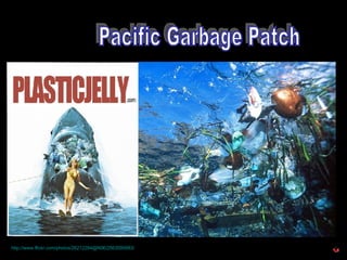 Pacific Garbage Patch http://www.flickr.com/photos/26212284@N06/2563095883/ 