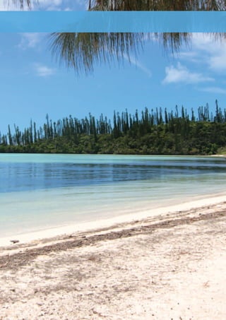 new caledonia 
www.paradisesonline.com 175 
 