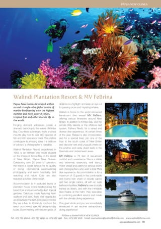 Papua New Guinea 
www.paradisesonline.com 191 
Walindi Plantation Resort  MV FeBrina 
Papua New Guinea is located within 
a coral triangle—the global centre of 
marine biodiversity with the highest 
number and most diverse corals, 
tropical fish and other marine life in 
the world. 
Fringing dormant volcanoes create a 
dramatic backdrop to the waters of Kimbe 
Bay. Countless submerged reefs and sea 
mounts play host to over 900 species of 
fish and 400 species of coral. The pristine 
corals grow to amazing sizes in a rainbow 
of colours, a photographer’s paradise. 
Walindi Plantation Resort, established in 
1983, is an intimate dive resort situated 
on the shores of Kimbe Bay on the island 
of New Britain, Papua New Guinea. 
Celebrating over 25 years of operation, 
the resort is world famous for its quality 
of diving, international award-winning 
photography and warm hospitality. Bird 
watching and nature tours are also 
featured activities of the resort. 
Accommodation is in secluded bures or 
plantation house rooms nestled along the 
beachfront and surrounded by lush tropical 
gardens. Delicious meals featuring fresh 
seafood and beef, fruits and vegetables 
are included in the tariff. Dive sites in Kimbe 
Bay are a five- to 45-minute ride from the 
resort on covered, specially designed day 
boats. Boom netting with resident pods of 
dolphins is a highlight, and keep an eye out 
for passing orcas and migrating whales. 
Walindi is home to the world renowned 
live-aboard dive vessel MV FeBrina, 
offering various itineraries around New 
Britain. In addition to Kimbe Bay, visit the 
remote Witu Islands or the offshore reef 
system, Fathers Reefs, for a varied and 
diverse dive experience. At certain times 
of the year, Rabaul is also incorporated. 
and for a special treat, join one of the 
trips to the south coast of New Britain 
and discover rare and unusual critters on 
the pristine and rarely dived reefs in the 
Gasmata and Lindenhaven areas. 
MV FeBrina is 73 feet of live-aboard 
comfort and convenience. She is a stable 
and extremely seaworthy, well set-out 
motor vessel and caters for serious divers 
and photographers who want a total PNG 
dive experience. Accommodation is for a 
maximum of 12 guests in five comfortable 
and roomy twin share or double cabins 
and two single cabins, all with en suite 
bathroom facilities. FeBrina’s crew is locally 
trained as divers, and with the inimitable 
Alan Raabe at the helm, they specialise 
in combining excellent service and meals 
with the ultimate diving experience. 
One giant stride and you are immediately 
enveloped in yet another extraordinary 
diving experience! 
PO Box 4, Kimbe PAPUA NEW GUINEA 
Tel: +675 723 48460, +675 737 34199 or +675 983 5441 Fax: +675 983 5638 Email: reservations@walindifebrina.com www.walindifebrina.com 
 