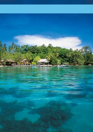 SOLOMON ISLANDS 
www.paradisesonline.com 205 
 