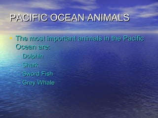 PACIFIC OCEAN ANIMALSPACIFIC OCEAN ANIMALS
• The most important animals in the PacificThe most important animals in the Pacific
Ocean are:Ocean are:
– DolphinDolphin
– SharkShark
– Sword FishSword Fish
– Grey WhaleGrey Whale
 