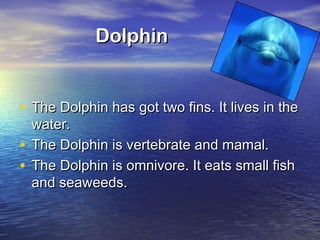 DolphinDolphin
• The Dolphin has got two fins. It lives in theThe Dolphin has got two fins. It lives in the
water.water.
• The Dolphin is vertebrate and mamal.The Dolphin is vertebrate and mamal.
• The Dolphin is omnivore. It eats small fishThe Dolphin is omnivore. It eats small fish
and seaweeds.and seaweeds.
 