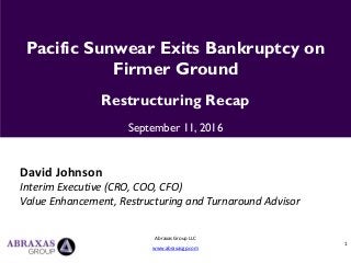 1
Abraxas Group LLC
www.abraxasgp.com
Pacific Sunwear Exits Bankruptcy on
Firmer Ground
Restructuring Recap
September 11, 2016
David Johnson
Interim Executive (CRO, COO, CFO)
Value Enhancement, Restructuring and Turnaround Advisor
 