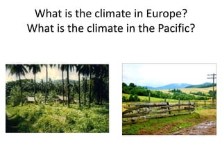 What is the climate in Europe?
What is the climate in the Pacific?