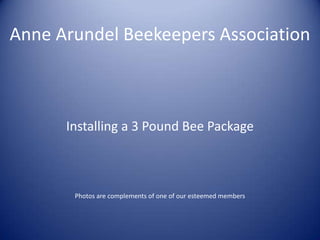 Installing a Package of Bees
