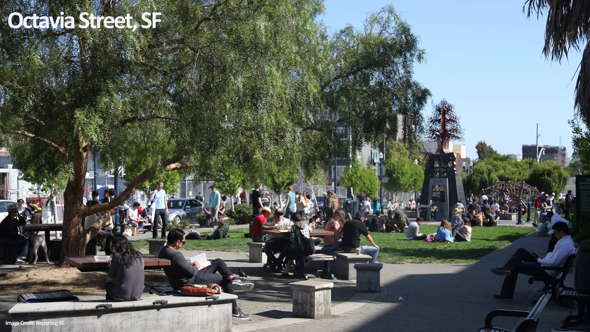 OctaviaStreet,SF
ImageCredit:ReportingSF
 