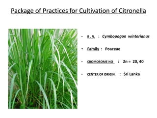 Package of Practices for Cultivation of Citronella
• B . N. : Cymbopogon winterianus
• Family : Poaceae
• CROMOSOME NO : 2n = 20, 40
• CENTER OF ORIGIN : Sri Lanka
 