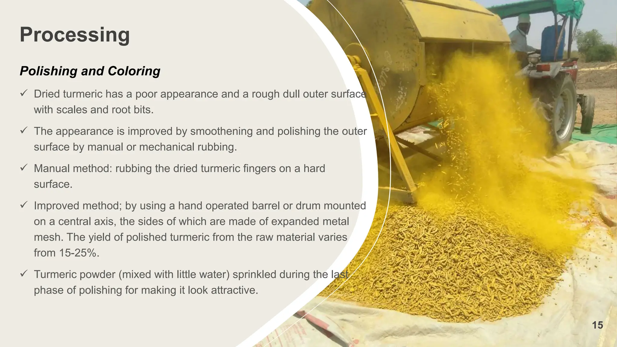 Processing
Polishing and Coloring
 Dried turmeric has a poor appearance and a rough dull outer surface
with scales and root bits.
 The appearance is improved by smoothening and polishing the outer
surface by manual or mechanical rubbing.
 Manual method: rubbing the dried turmeric fingers on a hard
surface.
 Improved method; by using a hand operated barrel or drum mounted
on a central axis, the sides of which are made of expanded metal
mesh. The yield of polished turmeric from the raw material varies
from 15-25%.
 Turmeric powder (mixed with little water) sprinkled during the last
phase of polishing for making it look attractive.
15
 
