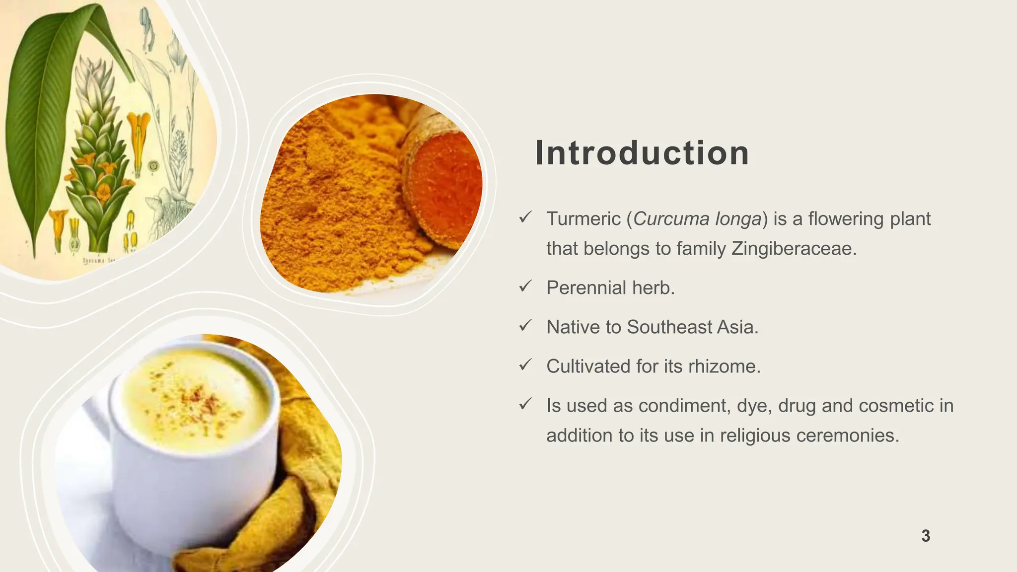Introduction
 Turmeric (Curcuma longa) is a flowering plant
that belongs to family Zingiberaceae.
 Perennial herb.
 Native to Southeast Asia.
 Cultivated for its rhizome.
 Is used as condiment, dye, drug and cosmetic in
addition to its use in religious ceremonies.
3
 