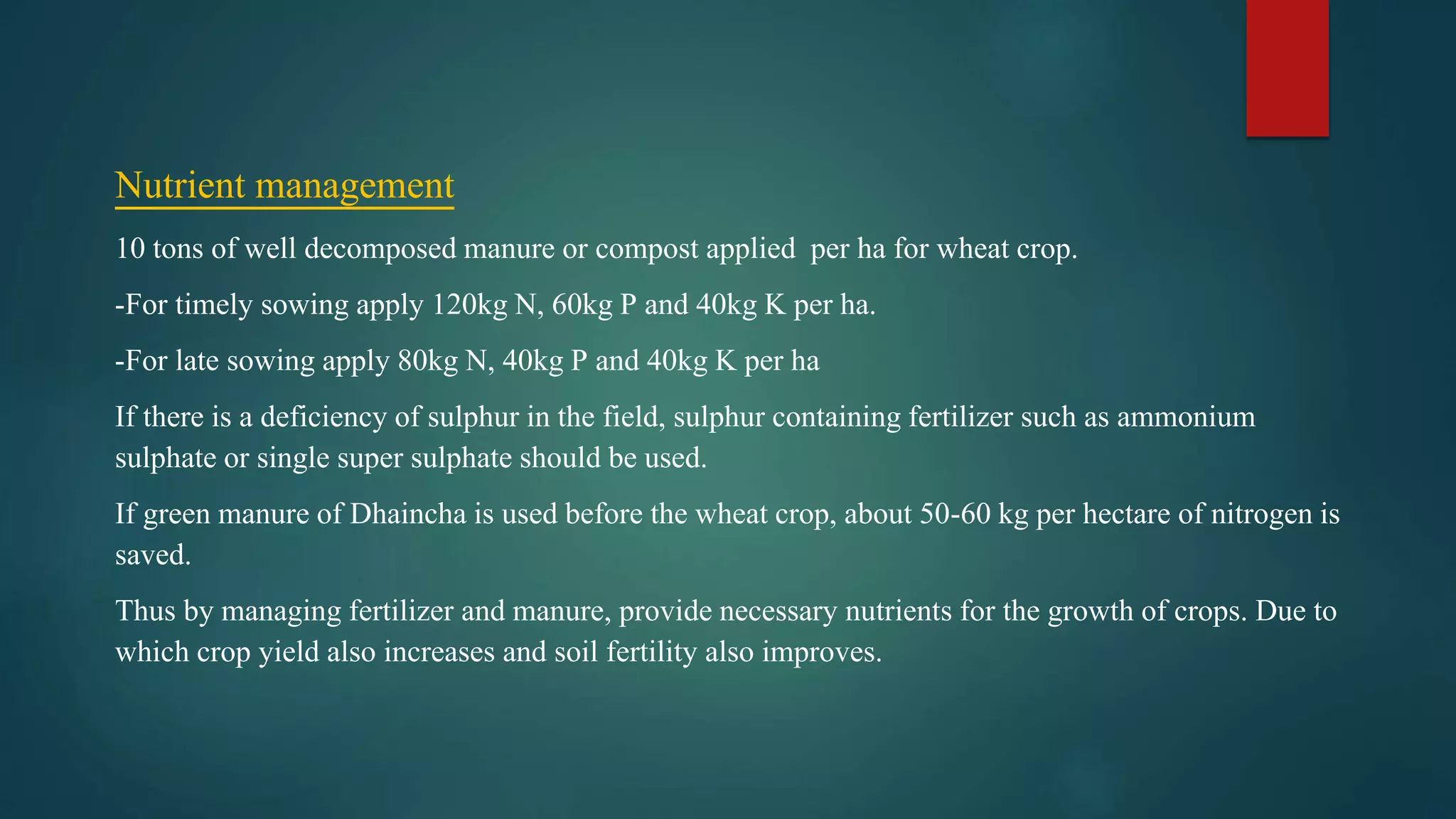 Nutrient management
10 tons of well decomposed manure or compost applied per ha for wheat crop.
-For timely sowing apply 120kg N, 60kg P and 40kg K per ha.
-For late sowing apply 80kg N, 40kg P and 40kg K per ha
If there is a deficiency of sulphur in the field, sulphur containing fertilizer such as ammonium
sulphate or single super sulphate should be used.
If green manure of Dhaincha is used before the wheat crop, about 50-60 kg per hectare of nitrogen is
saved.
Thus by managing fertilizer and manure, provide necessary nutrients for the growth of crops. Due to
which crop yield also increases and soil fertility also improves.
 
