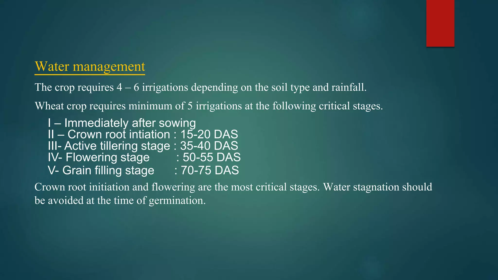 Water management
The crop requires 4 – 6 irrigations depending on the soil type and rainfall.
Wheat crop requires minimum of 5 irrigations at the following critical stages.
I – Immediately after sowing
II – Crown root intiation : 15-20 DAS
III- Active tillering stage : 35-40 DAS
IV- Flowering stage : 50-55 DAS
V- Grain filling stage : 70-75 DAS
Crown root initiation and flowering are the most critical stages. Water stagnation should
be avoided at the time of germination.
 