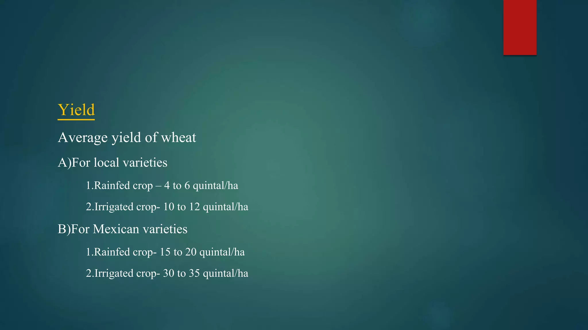 Yield
Average yield of wheat
A)For local varieties
1.Rainfed crop – 4 to 6 quintal/ha
2.Irrigated crop- 10 to 12 quintal/ha
B)For Mexican varieties
1.Rainfed crop- 15 to 20 quintal/ha
2.Irrigated crop- 30 to 35 quintal/ha
 