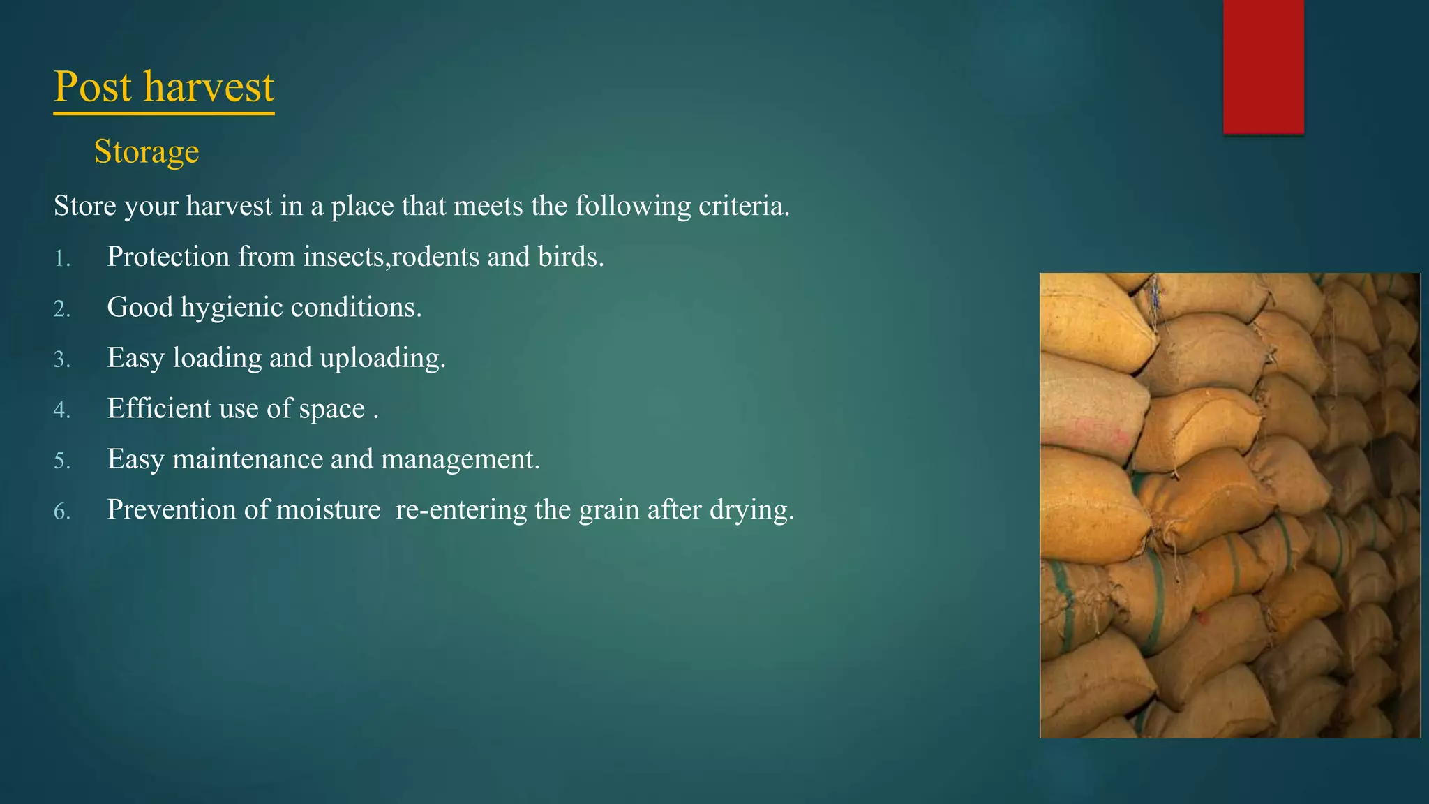 Post harvest
Storage
Store your harvest in a place that meets the following criteria.
1. Protection from insects,rodents and birds.
2. Good hygienic conditions.
3. Easy loading and uploading.
4. Efficient use of space .
5. Easy maintenance and management.
6. Prevention of moisture re-entering the grain after drying.
 