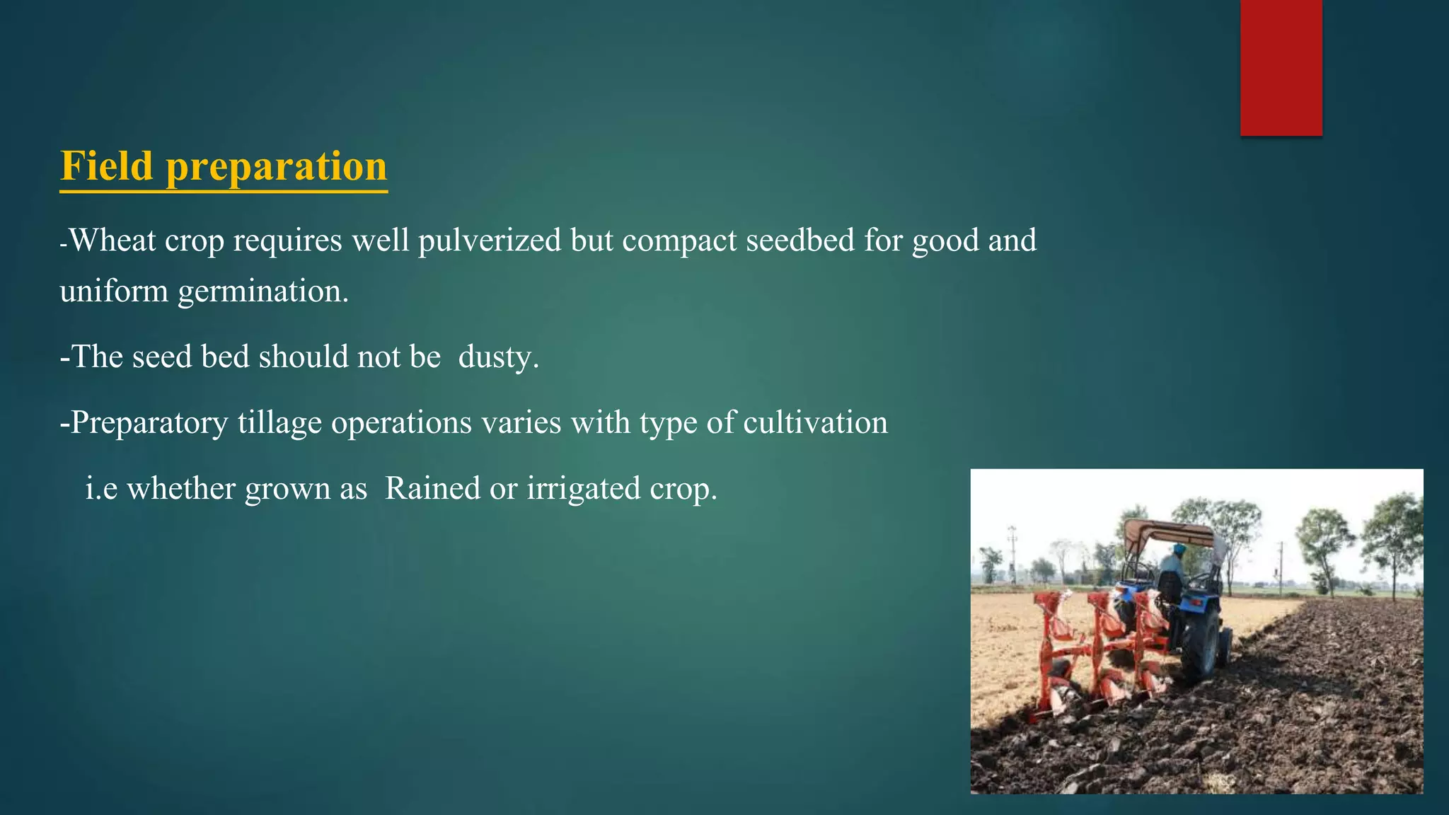 Field preparation
-Wheat crop requires well pulverized but compact seedbed for good and
uniform germination.
-The seed bed should not be dusty.
-Preparatory tillage operations varies with type of cultivation
i.e whether grown as Rained or irrigated crop.
 