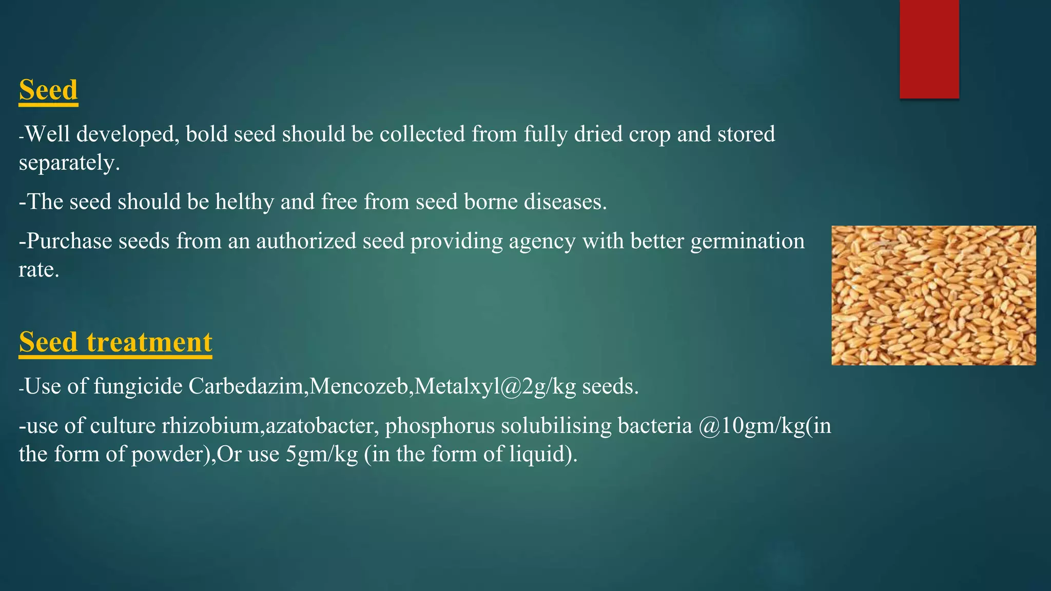 Seed
-Well developed, bold seed should be collected from fully dried crop and stored
separately.
-The seed should be helthy and free from seed borne diseases.
-Purchase seeds from an authorized seed providing agency with better germination
rate.
Seed treatment
-Use of fungicide Carbedazim,Mencozeb,Metalxyl@2g/kg seeds.
-use of culture rhizobium,azatobacter, phosphorus solubilising bacteria @10gm/kg(in
the form of powder),Or use 5gm/kg (in the form of liquid).
 
