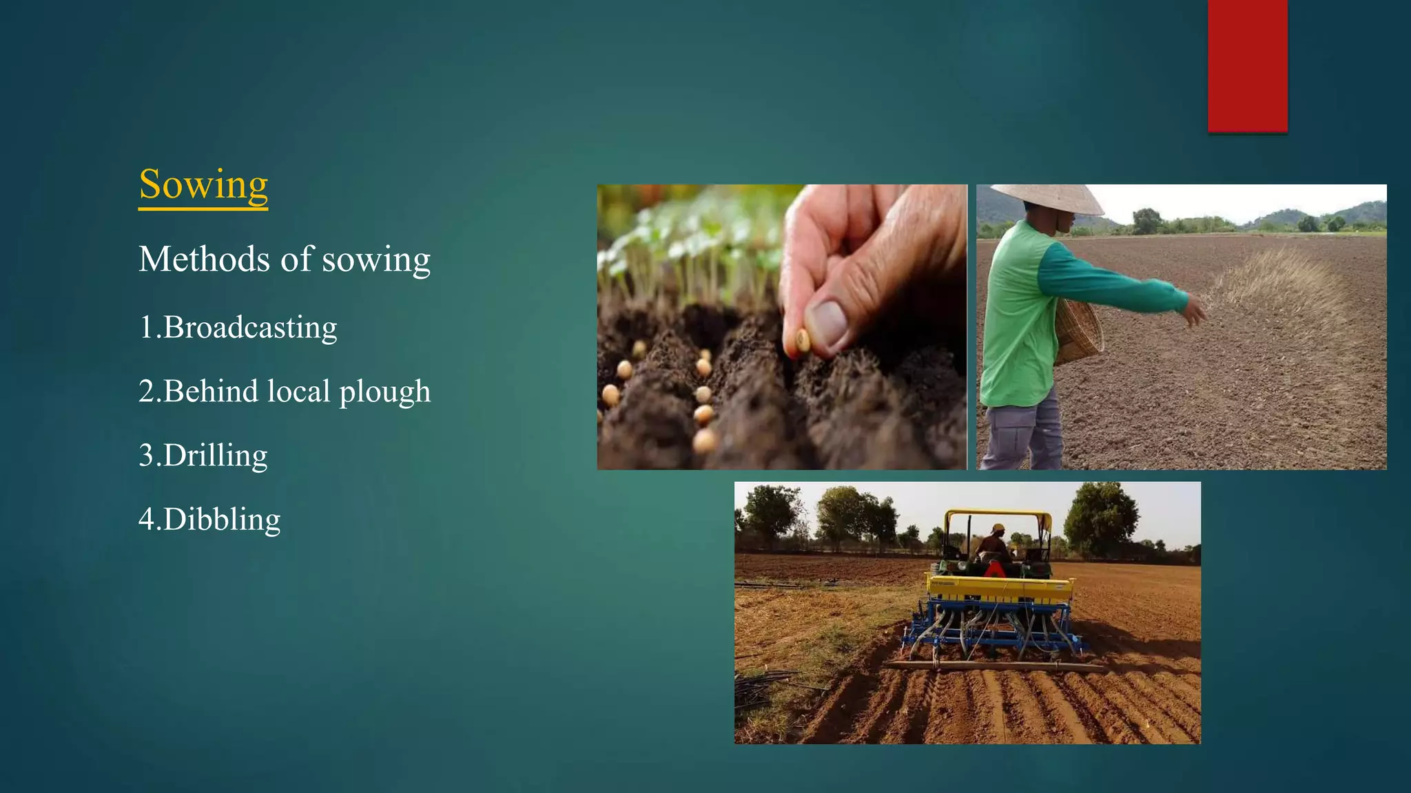 Sowing
Methods of sowing
1.Broadcasting
2.Behind local plough
3.Drilling
4.Dibbling
 