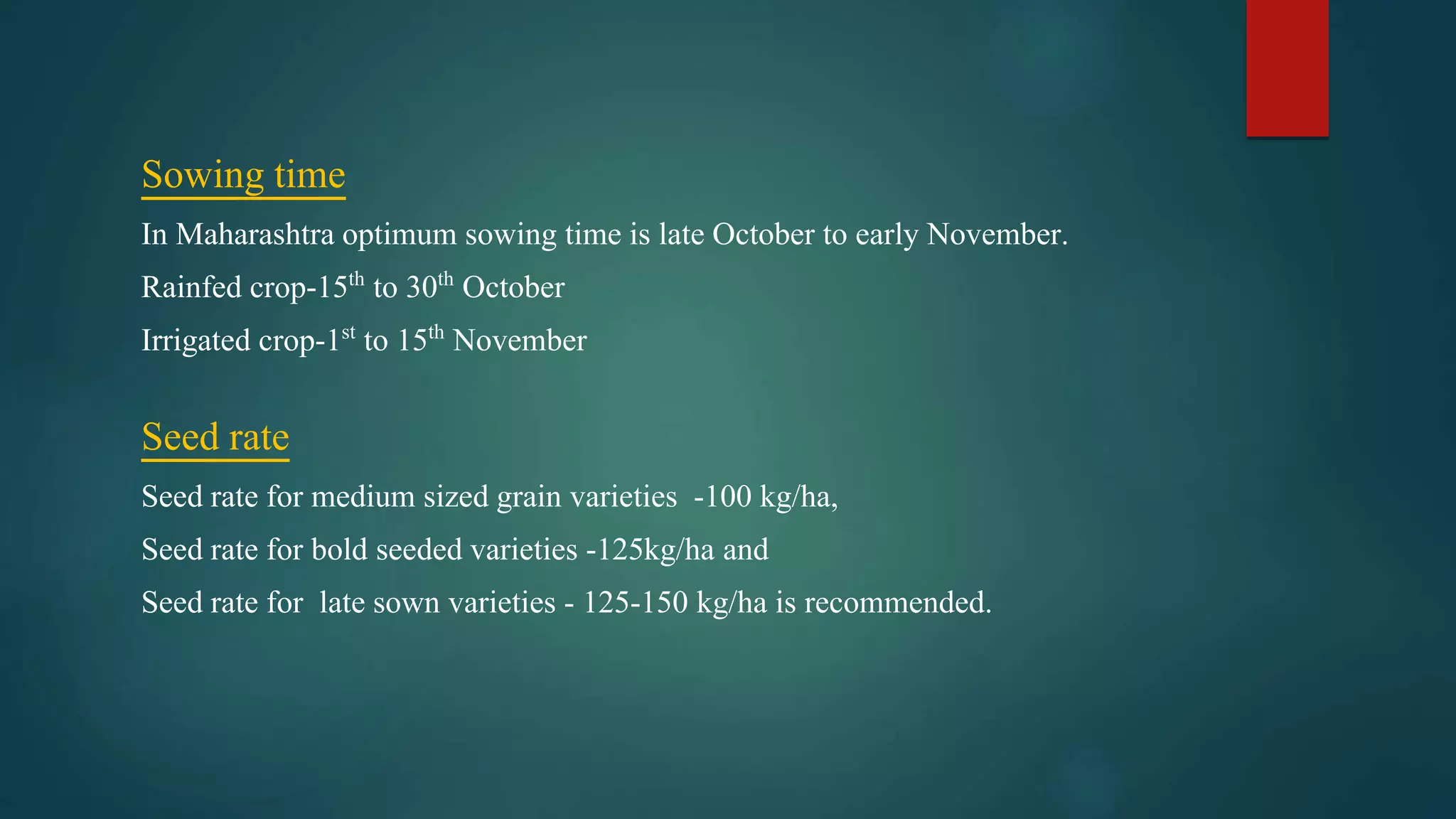 Sowing time
In Maharashtra optimum sowing time is late October to early November.
Rainfed crop-15th to 30th October
Irrigated crop-1st to 15th November
Seed rate
Seed rate for medium sized grain varieties -100 kg/ha,
Seed rate for bold seeded varieties -125kg/ha and
Seed rate for late sown varieties - 125-150 kg/ha is recommended.
 