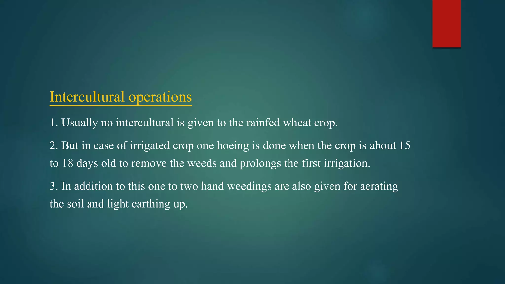 Intercultural operations
1. Usually no intercultural is given to the rainfed wheat crop.
2. But in case of irrigated crop one hoeing is done when the crop is about 15
to 18 days old to remove the weeds and prolongs the first irrigation.
3. In addition to this one to two hand weedings are also given for aerating
the soil and light earthing up.
 