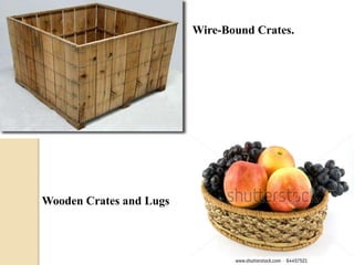 Wire-Bound Crates. 
Wooden Crates and Lugs 
 