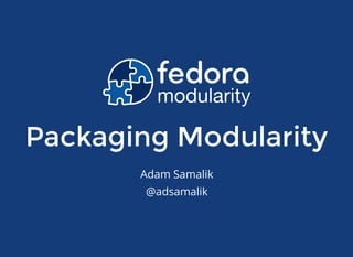 Packaging Modularity
Adam Samalik
@adsamalik
 