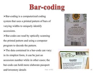 Bar-coding is a computerized coding
system that uses a printed pattern of bars of
varying widths to uniquely identify
accessions.
Bar-codes are read by optically scanning
the printed pattern and using a computer
program to decode the pattern.
The data contained in a bar-code can vary:
in its simplest form, it can be just an
accession number while in other cases; the
bar-code can hold more elaborate passport
and inventory details
5-Apr-21 30
Dept. of VSC
 