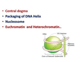 • Central dogma
• Packaging of DNA Helix
• Nucleosome
• Euchromatin and Heterochromatin..
 