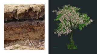 Packaging Services with Nix