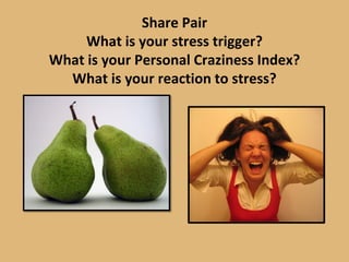 Share Pair
What is your stress trigger?
What is your Personal Craziness Index?
What is your reaction to stress?
 