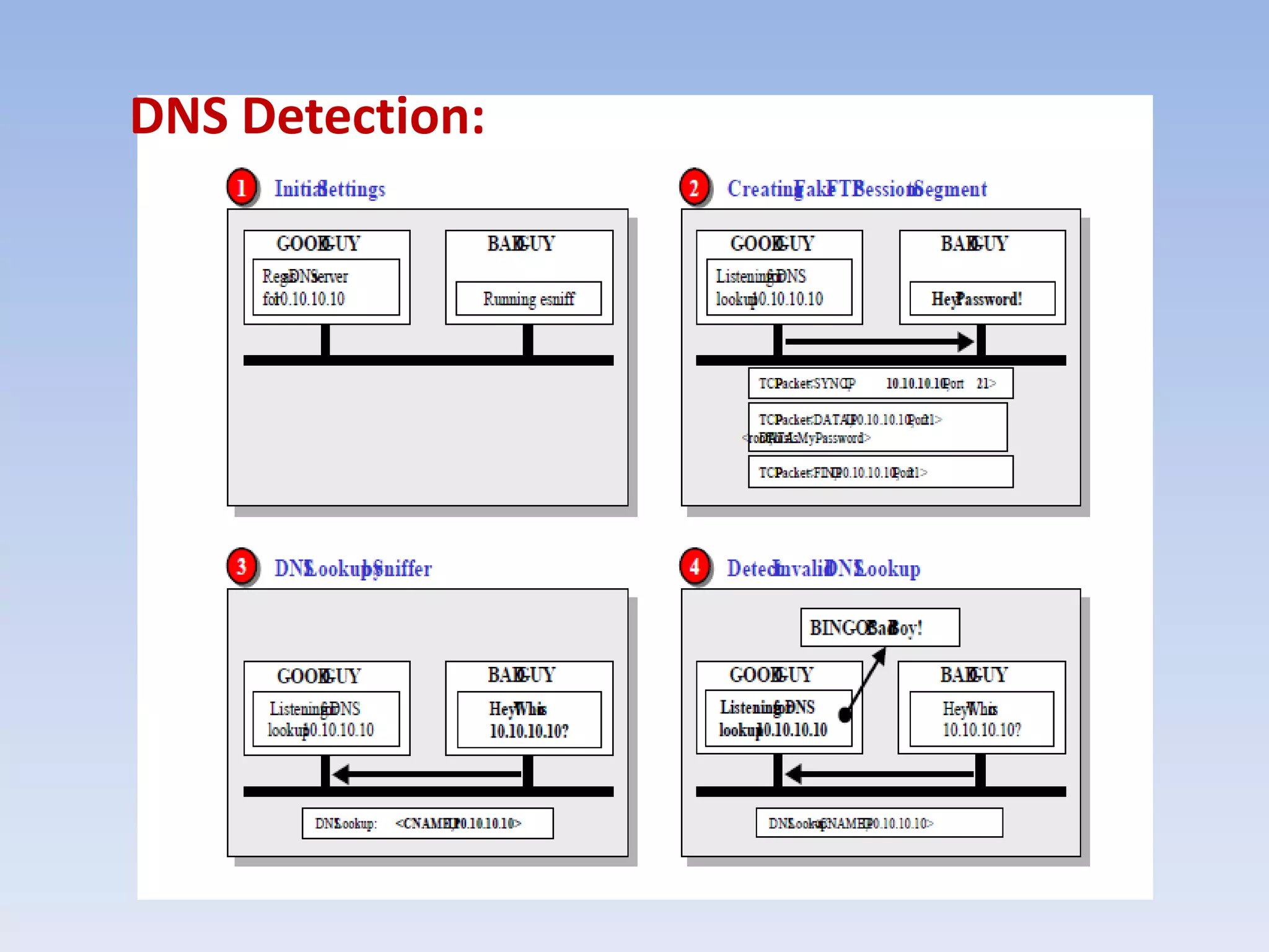 DNS Detection: