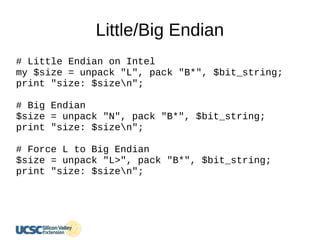 Little/Big Endian
# Little Endian on Intel
my $size = unpack "L", pack "B*", $bit_string;
print "size: $sizen";
# Big Endian
$size = unpack "N", pack "B*", $bit_string;
print "size: $sizen";
# Force L to Big Endian
$size = unpack "L>", pack "B*", $bit_string;
print "size: $sizen";
 