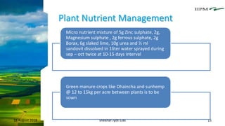 Plant Nutrient Management
18 August 2018 Shekhar Jyoti Das 15
Micro nutrient mixture of 5g Zinc sulphate, 2g,
Magnesium sulphate , 2g ferrous sulphate, 2g
Borax, 6g slaked lime, 10g urea and ½ ml
sandovit dissolved in 1liter water sprayed during
sep – oct twice at 10-15 days interval
Green manure crops like Dhaincha and sunhemp
@ 12 to 15kg per acre between plants is to be
sown
 