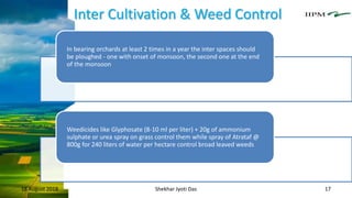 Inter Cultivation & Weed Control
18 August 2018 Shekhar Jyoti Das 17
In bearing orchards at least 2 times in a year the inter spaces should
be ploughed - one with onset of monsoon, the second one at the end
of the monsoon
Weedicides like Glyphosate (8-10 ml per liter) + 20g of ammonium
sulphate or urea spray on grass control them while spray of Atrataf @
800g for 240 liters of water per hectare control broad leaved weeds
 