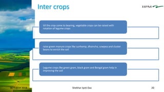 Inter crops
18 August 2018 Shekhar Jyoti Das 20
till the crop come to bearing, vegetable crops can be raised with
rotation of legume crops
raise green manure crops like sunhemp, dhaincha, cowpea and cluster
beans to enrich the soil
Legume crops like green gram, black gram and Bengal gram help in
improving the soil
 