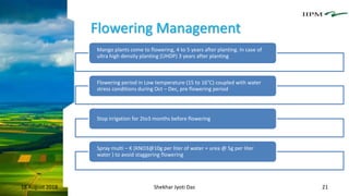 Flowering Management
18 August 2018 Shekhar Jyoti Das 21
Mango plants come to flowering, 4 to 5 years after planting. In case of
ultra high density planting (UHDP) 3 years after planting
Flowering period in Low temperature (15 to 16°C) coupled with water
stress conditions during Oct – Dec, pre flowering period
Stop irrigation for 2to3 months before flowering
Spray multi – K (KNO3@10g per liter of water + urea @ 5g per liter
water ) to avoid staggering flowering
 