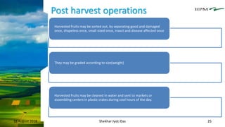 Post harvest operations
18 August 2018 Shekhar Jyoti Das 25
Harvested fruits may be sorted out, by separating good and damaged
once, shapeless once, small sized once, insect and disease affected once
They may be graded according to size(weight)
Harvested fruits may be cleaned in water and sent to markets or
assembling centers in plastic crates during cool hours of the day.
 
