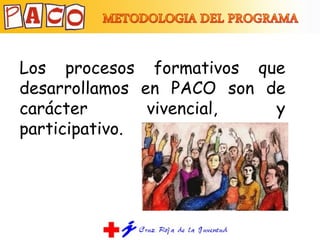 Los procesos formativos que desarrollamos en PACO son de carácter vivencial, y participativo. 