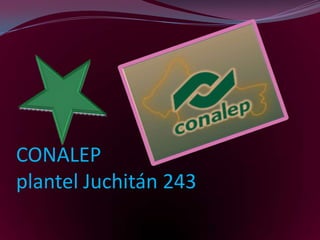 CONALEP
plantel Juchitán 243
 