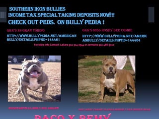 Southern Ikon Bullies
INCOME TAX SPECIAL TAKING DEPOSITS NOW!!!
Check out Peds. ON Bully Pedia !
GKK’S SS Gran TorIno                 GKK’S MISS Honey Bee Combe
http://www.bullypedia.net/american   http://www.bullypedia.net/americ
bully/details.php?id=144461          anbully/details.php?id=144464
 