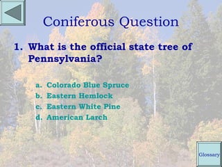 Coniferous Question
1. What is the official state tree of
   Pennsylvania?

    a.   Colorado Blue Spruce
    b.   Eastern Hemlock
    c.   Eastern White Pine
    d.   American Larch



                                        Glossary
 