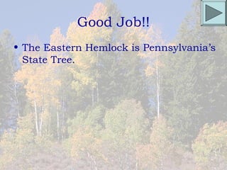 Good Job!!
• The Eastern Hemlock is Pennsylvania’s
  State Tree.
 