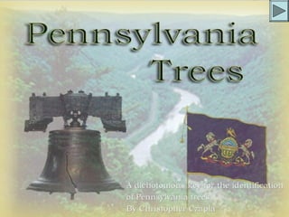 A dichotomous key for the identification
of Pennsylvania trees.
By Christopher Czapla
 