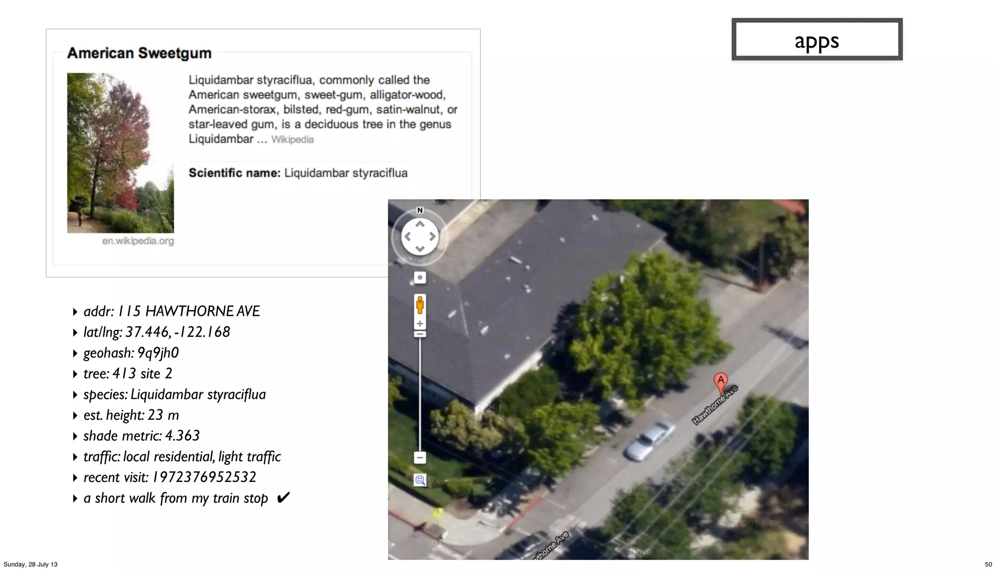 ‣ addr: 115 HAWTHORNE AVE
‣ lat/lng: 37.446, -122.168
‣ geohash: 9q9jh0
‣ tree: 413 site 2
‣ species: Liquidambar styraciﬂua
‣ est. height: 23 m
‣ shade metric: 4.363
‣ trafﬁc: local residential, light trafﬁc
‣ recent visit: 1972376952532
‣ a short walk from my train stop ✔
apps
50Sunday, 28 July 13
 