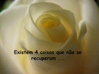 Existem 4 coisas que não se recuperam ... 