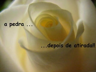 a pedra ...



              ...depois de atirada!!
 