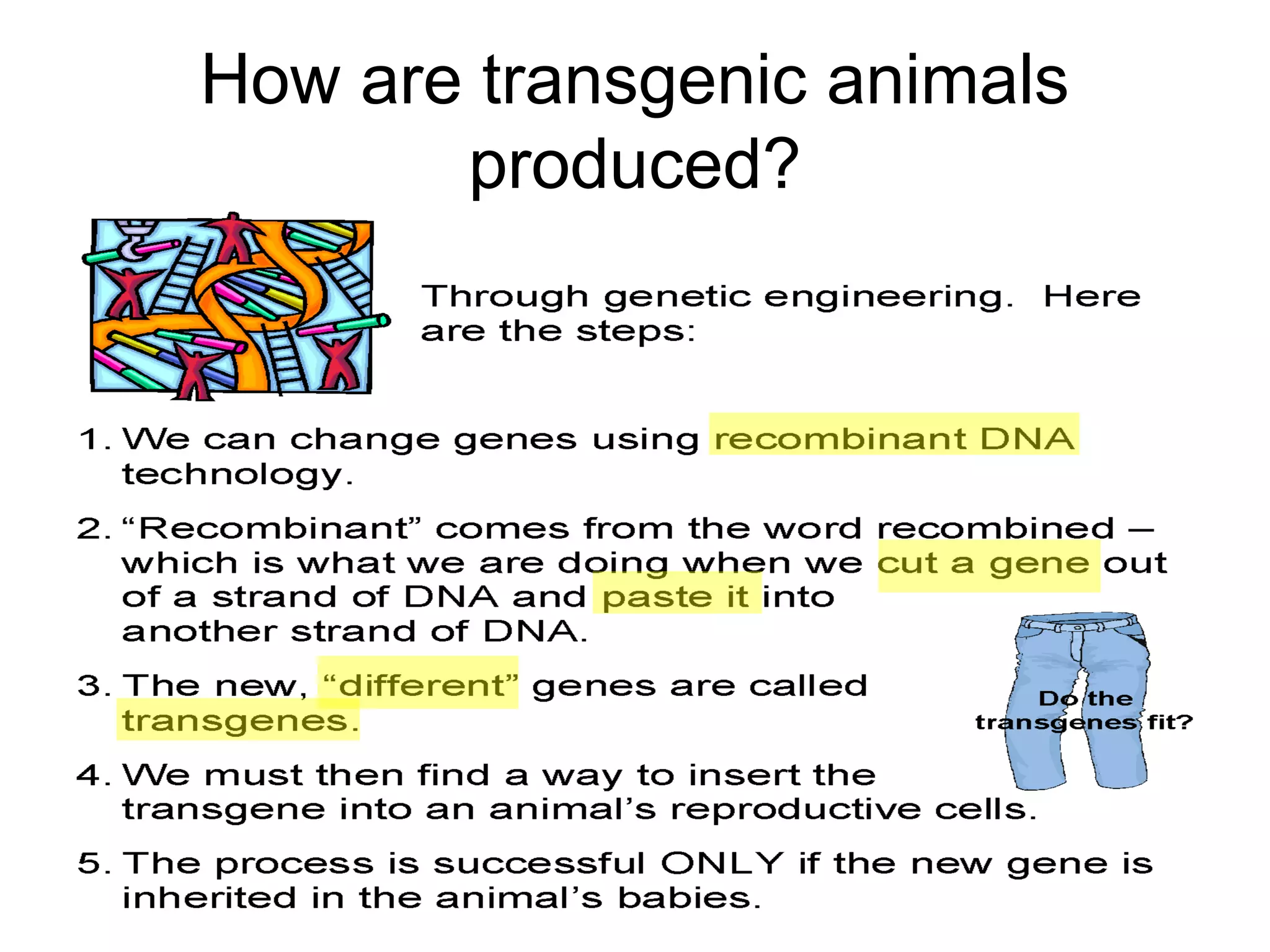 How are transgenic animals
produced?
 
