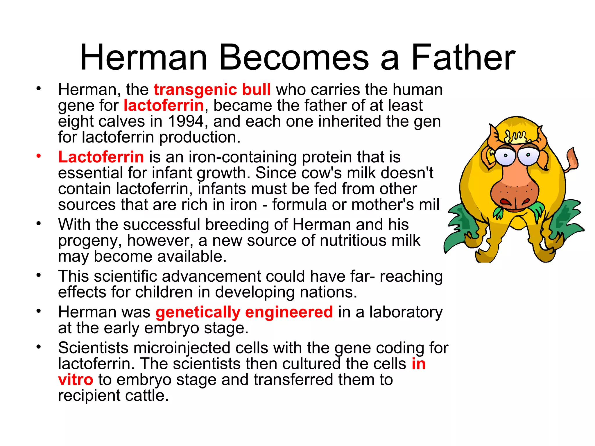 Herman Becomes a Father
• Herman, the transgenic bull who carries the human
gene for lactoferrin, became the father of at least
eight calves in 1994, and each one inherited the gene
for lactoferrin production.
• Lactoferrin is an iron-containing protein that is
essential for infant growth. Since cow's milk doesn't
contain lactoferrin, infants must be fed from other
sources that are rich in iron - formula or mother's milk.
• With the successful breeding of Herman and his
progeny, however, a new source of nutritious milk
may become available.
• This scientific advancement could have far- reaching
effects for children in developing nations.
• Herman was genetically engineered in a laboratory
at the early embryo stage.
• Scientists microinjected cells with the gene coding for
lactoferrin. The scientists then cultured the cells in
vitro to embryo stage and transferred them to
recipient cattle.
 