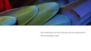 No fundamental um texto literário não tem destinatário.
Silvina Rodrigues Lopes
 