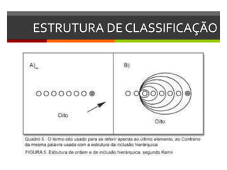 ESTRUTURA DE CLASSIFICAÇÃO
 
