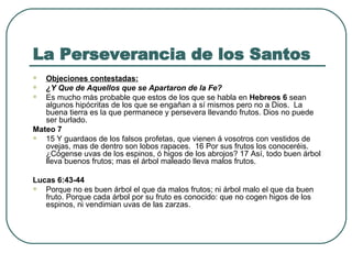 La Perseverancia de los Santos Objeciones contestadas: ¿Y Que de Aquellos que se Apartaron de la Fe?   Es mucho más probable que estos de los que se habla en  Hebreos 6  sean algunos hipócritas de los que se engañan a sí mismos pero no a Dios.  La buena tierra es la que permanece y persevera llevando frutos. Dios no puede ser burlado.  Mateo 7  15 Y guardaos de los falsos profetas, que vienen á vosotros con vestidos de ovejas, mas de dentro son lobos rapaces.  16 Por sus frutos los conoceréis. ¿Cógense uvas de los espinos, ó higos de los abrojos? 17 Así, todo buen árbol lleva buenos frutos; mas el árbol maleado lleva malos frutos.  Lucas 6:43-44 Porque no es buen árbol el que da malos frutos; ni árbol malo el que da buen fruto. Porque cada árbol por su fruto es conocido: que no cogen higos de los espinos, ni vendimian uvas de las zarzas.  