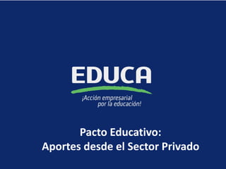 Pacto Educativo: 
Aportes desde el Sector Privado  